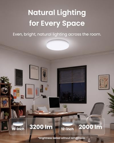 RGBICWW Ceiling Light 15 Inch (15 Inch)