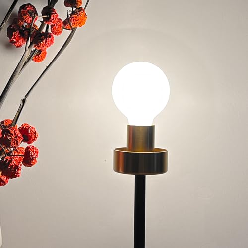 LED Light Bulb G30