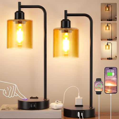Industrial Touch Nightstand Lamps for Bedrooms Set of 2 (2 Count)