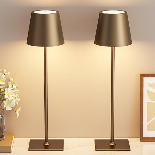 Brown Cordless Rechargeable Table Lamp 5000mAh Battery Operated Lamps (2 Count)