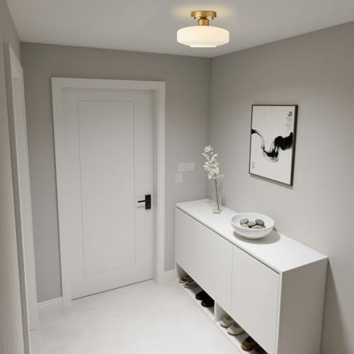 Modern Ceiling Light