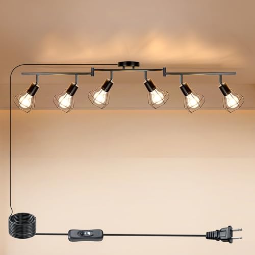 Track Lighting Plug in