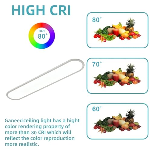 39.4 Inch Dimmable LED Ceiling Light