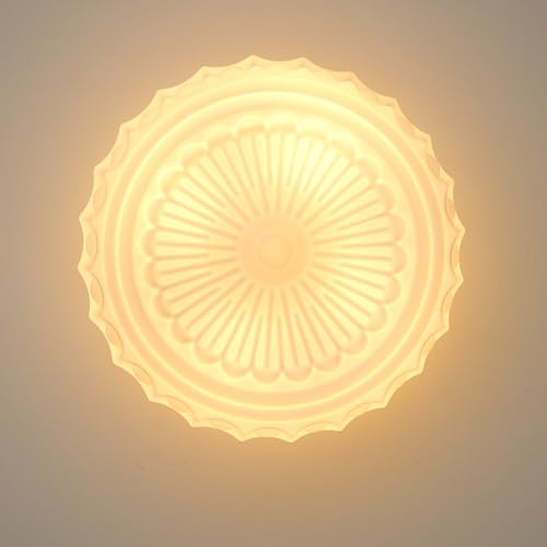 Schoolhouse Ceiling Light Fixture