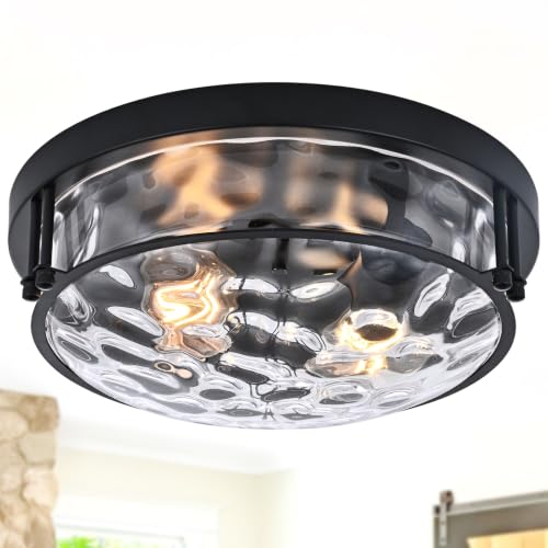 Black 2 Light Ceiling Light Fixture with Hammered Glass