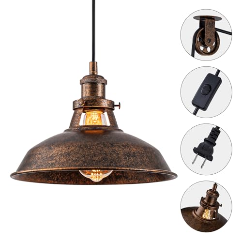 Plug in Pendant Light with 16FT Cord