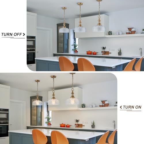 EDSILIVE Vintage Glass Pendant Lights Kitchen Island 10" Bowl Clear Glid Glass Hanging Ceiling Light Fixture with Brass Gold Finish for Dining Room Kitchen Table