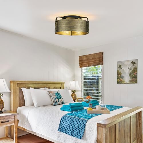 Flush Mount Ceiling Light