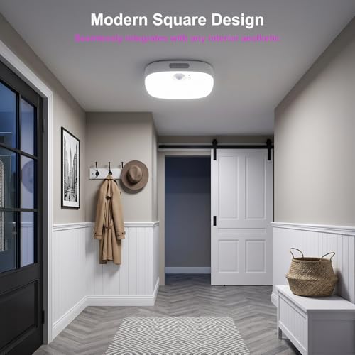 2 Pack IP65 Motion Sensor Shower Ceiling Light 10000mAh 18 Colors (2 Count)