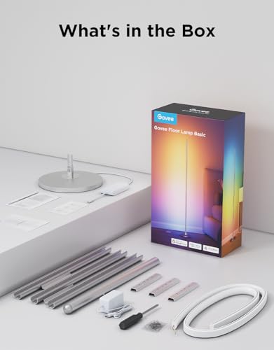 RGBIC Floor Lamp