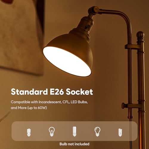 Rustic Desk Lamp