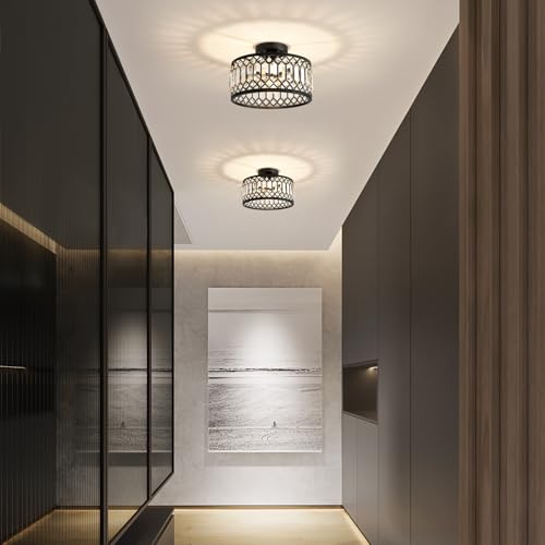 Crystal Black Ceiling Light