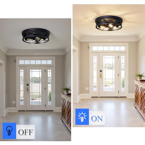 Flush Mount Ceiling Light Fixture