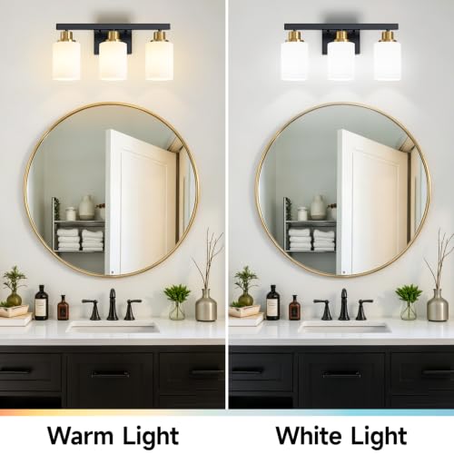 3 Light Vanity Lights Black and Gold Bathroom Light Fixtures 17in