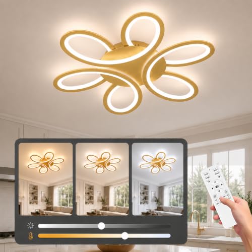 Modern LED Ceiling Light