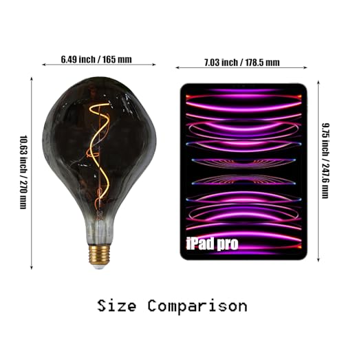 A165 Large LED Edison Light Bulbs Dimmable 5W 200lm E26 2200K 1PC