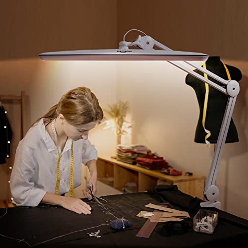 Task Lamp with Clamp