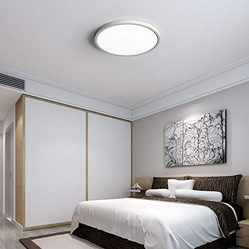 LED Ceiling Light