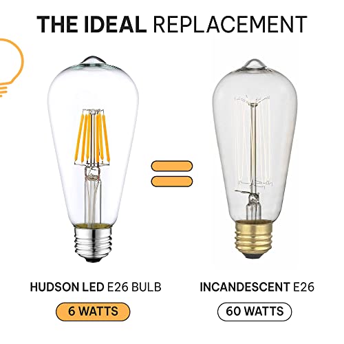 Vintage LED Edison Light Bulbs (6 Count)