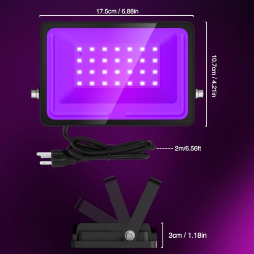 Purple Halloween Lights (Purple)