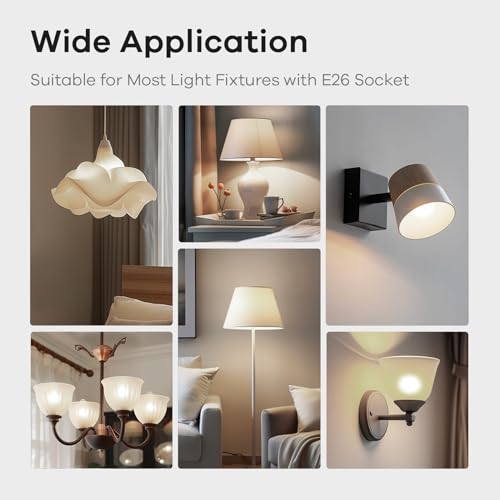 A19 LED Light Bulbs (6 Count)