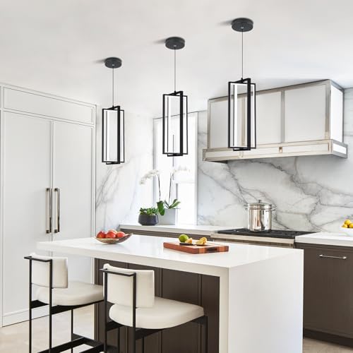 Modern Led Pendant Light Fixture