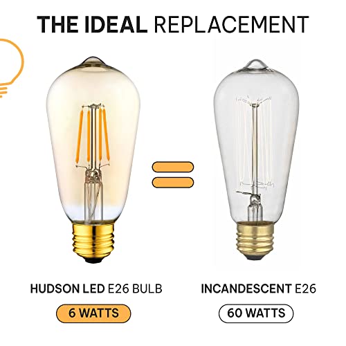 Vintage LED Edison Light Bulbs (6 Count)