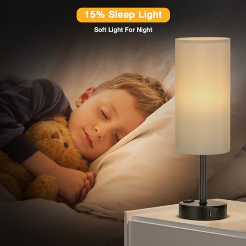 Grey Touch Table Lamps Set of 2 (2 Count)