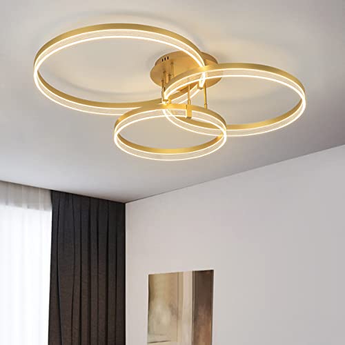 Chaners Ceiling Light Acrylic Ring Ceiling Light LED with Remote Control Dining Room Bedroom Lamp Living