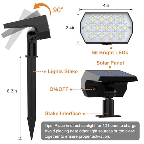 Solar Lights Outdoor (2 Count)