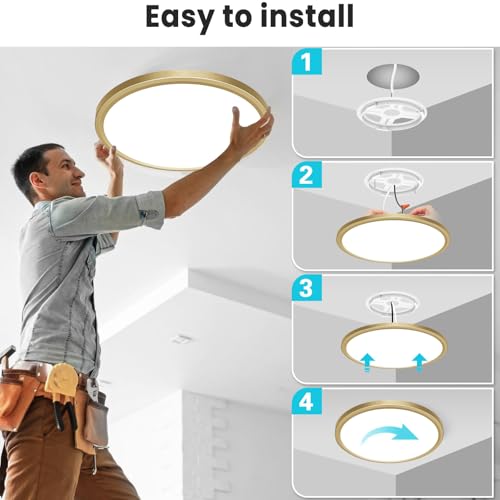 12 Inch LED Ceiling Light Golden (2 Count)