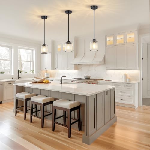 2 Pack Black Pendant Lighting (2 Count)