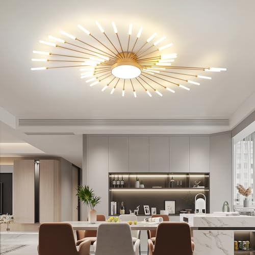 Modern Ceiling Light