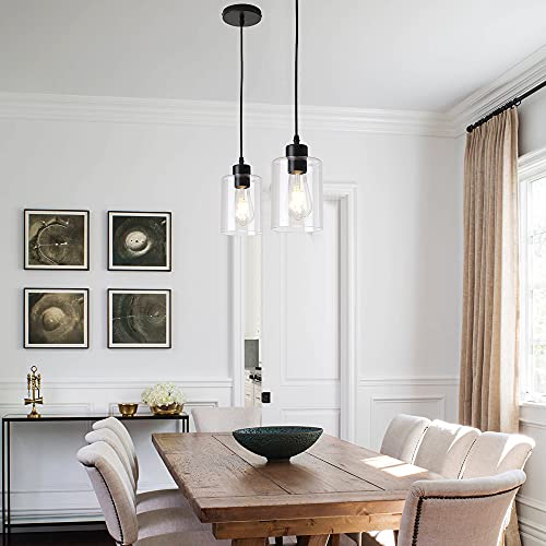 Modern Black Farmhouse Clear Glass Cylinder Pendant Light Fixture