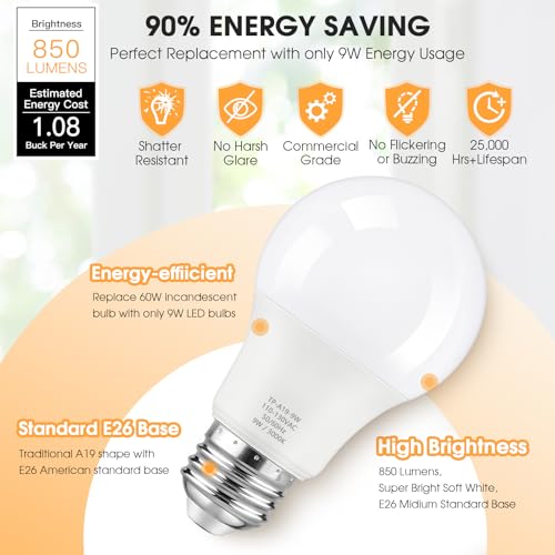 A19 LED Light Bulbs (24 Count)