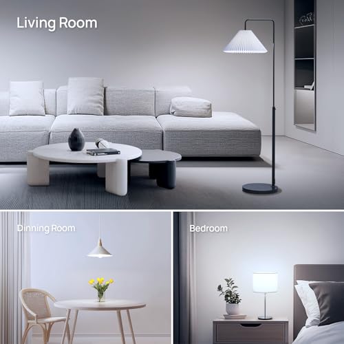 A19 LED Light Bulbs (6 Count)