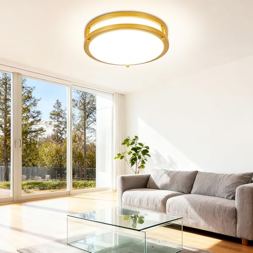 DLLT Flush Mount LED Ceiling Light