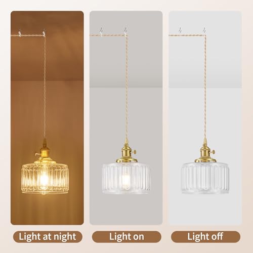 Plug in Pendant Light