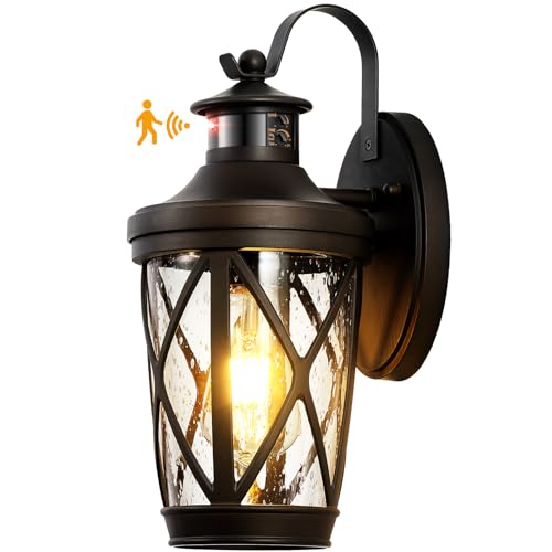 Oil Rubbed Bronze Outdoor Light Fixture (Oil-Rubbed Bronze / 1-Pack)
