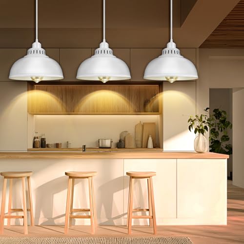 Plug in Pendant Light