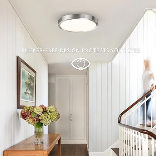 10 Inch Flush Mount LED Ceiling Light Fixture (2 Count)