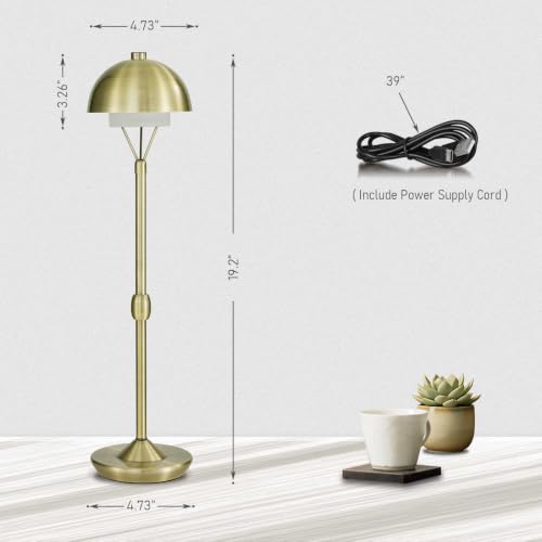 Cordless Modern Table Lamp