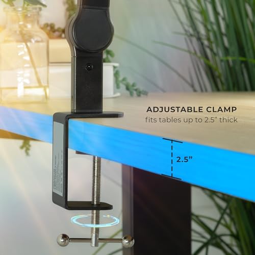 LED Desk Lamp with Adjustable Swing Arms and Clamp Base