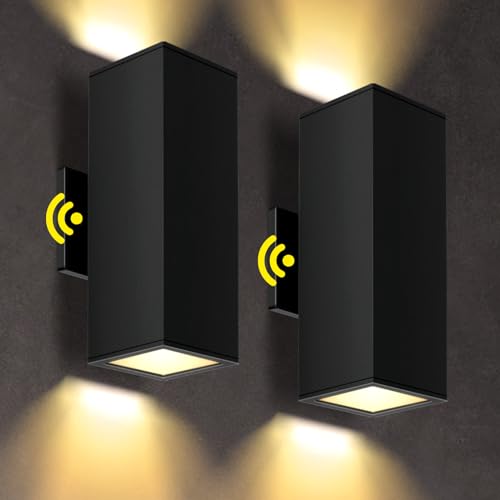 2 Pack Exterior Wall Light Fixtures (2 Count)