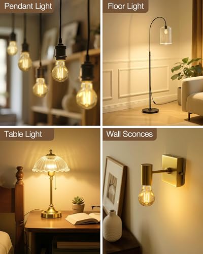A19 Soft White Edison Bulbs (6 Count)