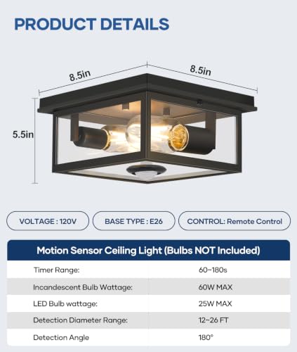 Motion Sensor Outdoor Ceiling Light with Remote