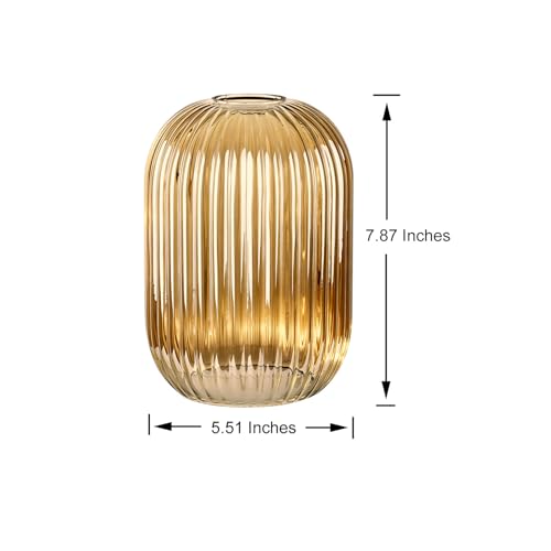 2 Pack Amber Ribbed Glass Lamp Shade (2 Count)