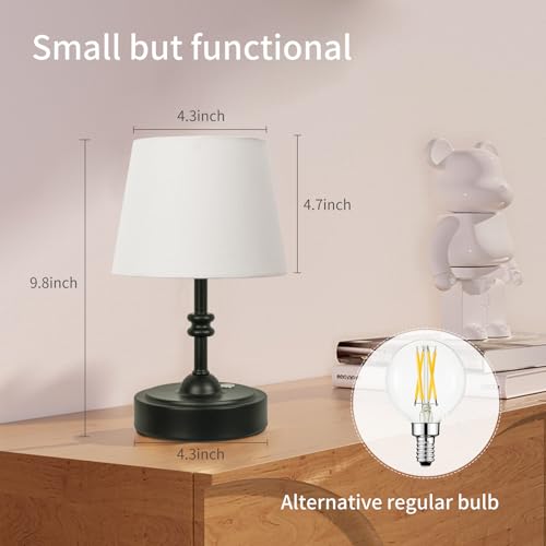 Small Cordless Lamp Dimmable