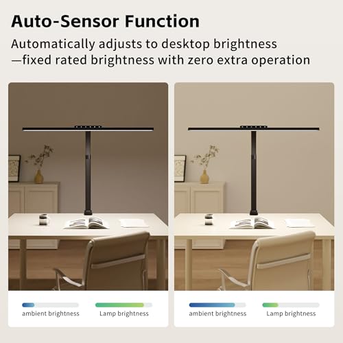 Clamp on Desk Lamp