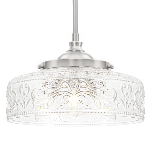 Brushed Nickel Pendant Light with Clear Glass Lampshade